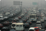 Medio Ambiente