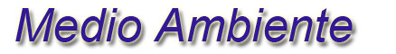 Medio ambiente