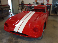 TVR - Detalle coche pintado
